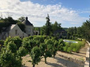 an old building with a tree in front of it at Cottage de la Tour - Duplex troglodyte of 100 m in Azay-le-Rideau
