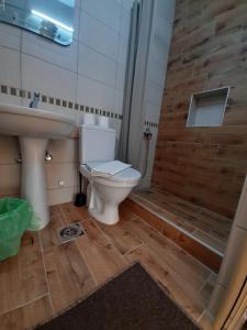 La salle de bains est pourvue de toilettes, d'une douche et d'un lavabo. dans l'établissement Studio Gmitrovic, à Rtanj