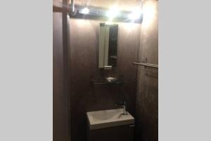 a bathroom with a sink and a mirror at Studio Lyon 1er in Lyon