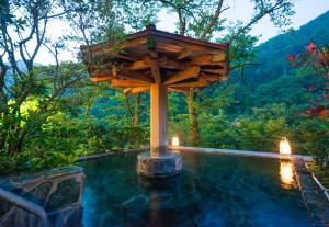 黑部市黑部酒店的游泳池，上面有鸟舍