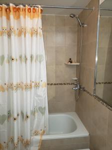 a bathroom with a shower curtain and a tub at Colón in Cordoba