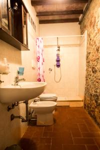 a bathroom with a toilet and a sink at Apartment immersed in the green of the Maremma in Massa Marittima