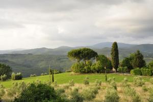 マッサ・マリッティマにあるTuscan Rustic Apartmentの木山を背景にした畑