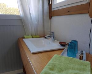 a bathroom counter with a sink and a window at Living Legends - Tiny House auf den Wiesen der Edermühle in Grosspertholz
