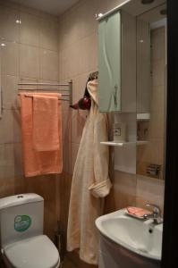 a bathroom with a toilet and a sink and a mirror at Vystavka Hotel in Moscow