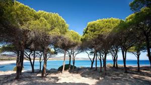 rząd drzew na plaży blisko wody w obiekcie B&B La Quercia Budoni, Tanaunella w mieście Budoni