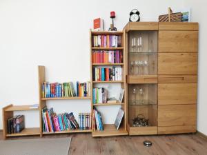 The library in Az apartmant