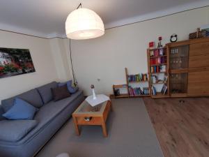 The library in Az apartmant