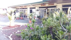 Vườn quanh Top of the Mountain, new American owned Gated modern Lodge