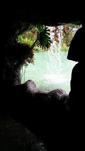 Phong cảnh thiên nhiên gần căn hộ