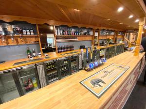 un bar con un oso en el mostrador en cabin zest, en Sandown