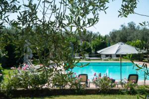 a swimming pool with an umbrella and some flowers at Tenuta di Poggio Cavallo in Istia dʼOmbrone