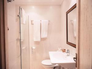 a bathroom with a toilet and a sink and a shower at Hotel Los Toreros in Tordesillas