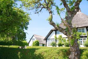 Zahrada ubytování strandnahe Idylle am Meer, private Badestelle mit Strandkorb - Gutshof Ostseeblick FeWo Nr 02