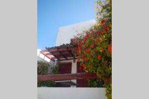 un edificio con flores rojas a un lado. en The Red-Fish House en Astipalea