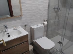 艾因薩的住宿－Apartamento Rural Casa Paco con Jacuzzi exterior y barbacoa，浴室配有卫生间、盥洗盆和淋浴。