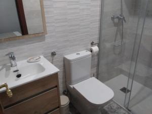 a bathroom with a toilet and a sink and a shower at Apartamento Rural Casa Paco con Jacuzzi exterior y barbacoa in Aínsa