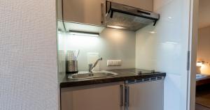 Kuchyň nebo kuchyňský kout v ubytování Appartementanlage am Arnumer See