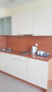 Kuhinja ili čajna kuhinja u objektu Apartment Golden Sands, Sea view, Beach Front, Private Property