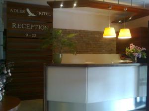 Vstupní hala nebo recepce v ubytování Adler Hotel & Wellness + 37 fotografií