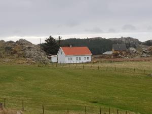 una casa bianca con un tetto arancione in un campo di Utsira Overnatting - Kvalvik a Utsira