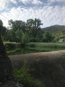 ein Wasserkörper neben einem Fluss mit Bäumen in der Unterkunft Molí dels Aubins in Cornudella de Montsant