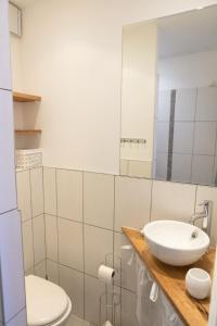 リル・シュル・ラ・ソルギュにあるstudio Vaucluse Clovisのバスルーム(洗面台、トイレ、鏡付)