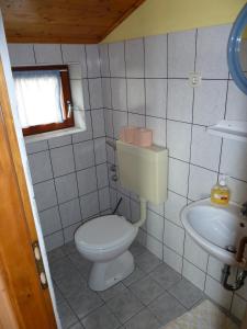 Baño pequeño con aseo y lavamanos en Apartment Mrkić, en Biograd na Moru