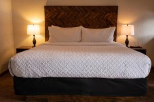 A Bear and Bison Country Inn