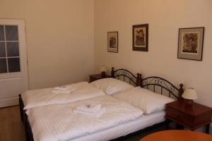 Postel nebo postele na pokoji v ubytování Hotel Černý kůň