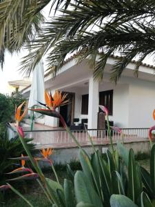 Vonkajšia záhrada v ubytovaní Villa Es Tamarells Blue