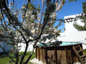 Vonkajšia záhrada v ubytovaní Villa Es Tamarells Blue