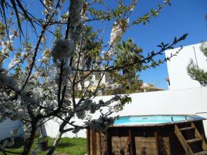 Vonkajšia záhrada v ubytovaní Villa Es Tamarells Blue