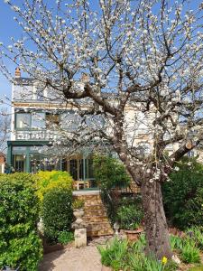 Gallery image of Libération-Maison d'hotes in Le Mans