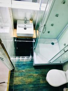 a bathroom with a sink and a shower and a toilet at Apartament Olimp in Olimp