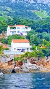 a house on a cliff next to the water at Apartments Villa Bella Vista in Gornji Dingač