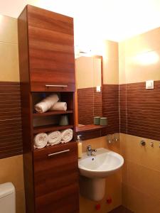 La salle de bains est pourvue d'un lavabo et d'un miroir. dans l'établissement Cosy one bedroom apartment, close to Iulius Mall, à Cluj-Napoca