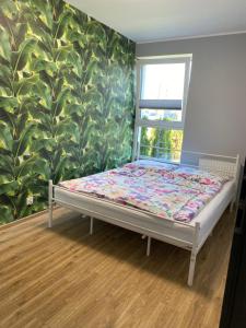 uma cama num quarto com uma parede verde em 2 Tyskie Apartamenty z ogródkiem em Tychy