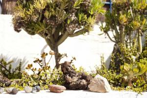 A garden outside Holidays in Tarajalejo - home office with sea view