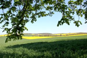 Naturlandschaft in der Nähe der Ferienwohnung