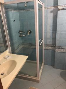 a shower with a glass door next to a sink at Piccolo hotel le Palme in San Bartolomeo al Mare