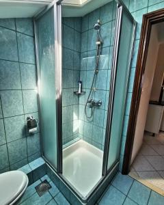 a bathroom with a shower and a toilet at Villa Ela in Postira +53 photos