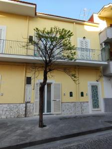 um edifício amarelo com uma árvore em frente em Botteghelle Home em Casalnuovo di Napoli