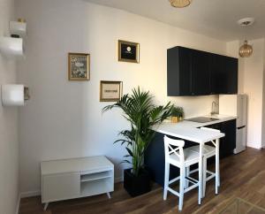 kuchnia z białym blatem i rośliną w obiekcie Blue Dior Apartment Warsaw w Warszawie