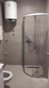 a bathroom with a shower with a toilet and a sink at M&I Apartment in Doboj +4 photos