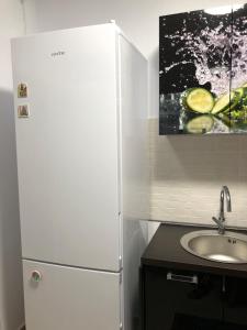 a white refrigerator in a kitchen with a sink at Brancusi Apartment in Bucharest