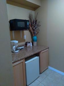 a kitchen with a counter with a microwave and a sink at Budget Lodge Mount Dora in Mount Dora