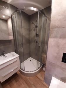 a bathroom with a shower and a sink at Apartament Oksywska Przystań in Gdynia