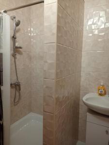 a bathroom with a shower and a sink at Пасторальний дім імені Владики Мілана in Bohdan