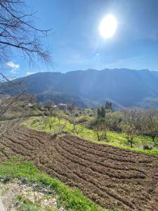 Tatil evi yakınında doğal manzara